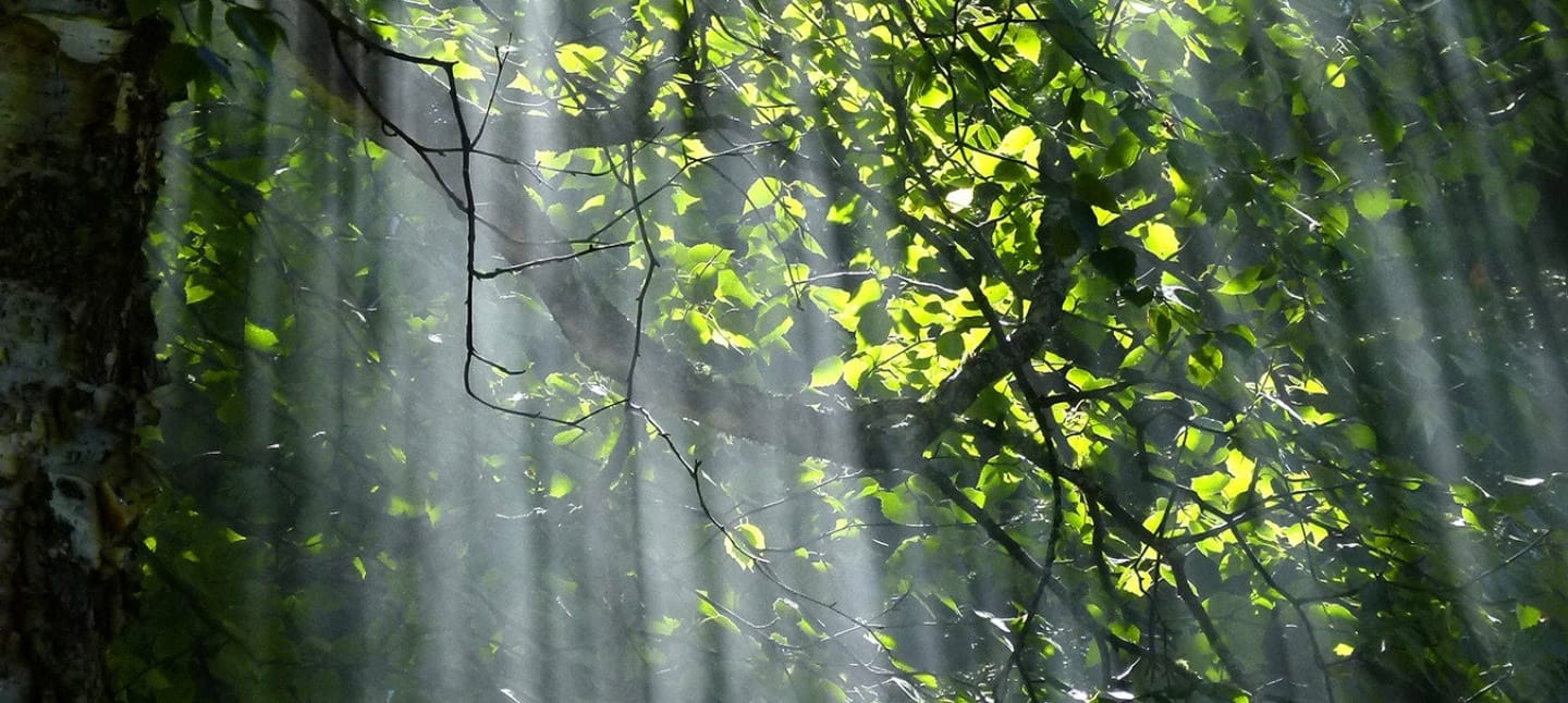 trusted behavioral health services in new jersey