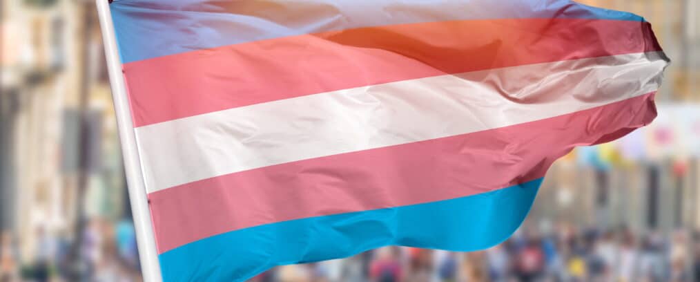 A transgender flag being held up in a crowd.