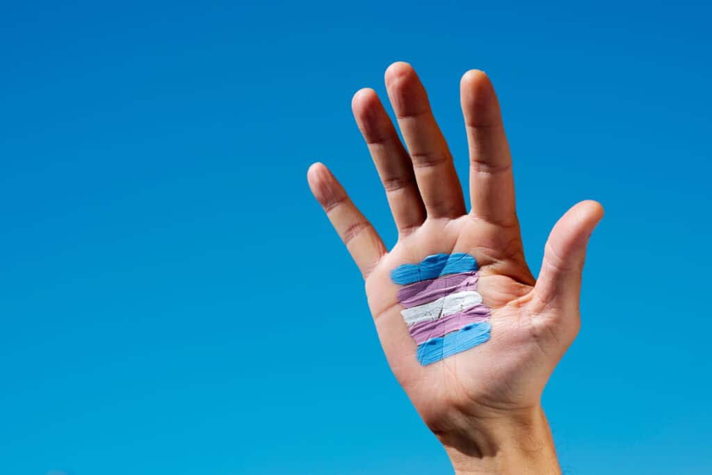 Raised hand with a transgender flag painted on the palm.